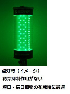モスバリアジュニア 新緑の色 Led火切 生り木 野菜 胚芽術 護り虫ランペ 害虫防除遣道灯し火 防蛾灯 家人野菜園 植木室 養殖 Led 害虫 防虫 虫除け 虫よけ 農芸マチエール 農業用資材 園芸資材 園芸用資材 雑品 園芸器機 Marchesoni Com Br