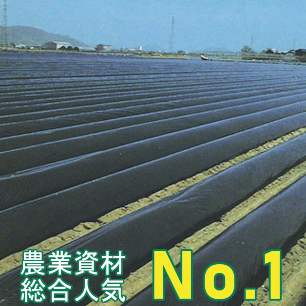 【楽天市場】黒マルチ 厚さ0.02mm×幅150cm×長さ200m 直送品 雑草の抑制効果が高い畑用黒マルチです。(マルチシート 農業用マルチ 防草  シート 農業 マルチング アイアグリ 日本農業システム 農業資材 ガーデニング 家庭菜園 農業用資材 園芸用品 雑草対策 ...