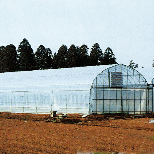 ＰＯ タフサイド 長さ100m&times;厚さ0.15mm&times;幅115cm(農業資材 ビニールハウス 家庭菜園 栽培 園芸用品 部品 農業用資材 園芸資材 poフィルム 野菜 農業用品 サイド ビニルハウス 農po ハウス部材 農業用ビニールハウス 農業用フィルム 裾張り ハウス栽培 園芸用資材 農具)｜日本農業システム店