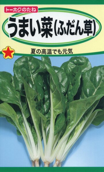 楽天市場】キャベツの種 F1 四季どりキャベツ 味星 1.5ml 品番3961 種子 たね : 日本農業システム楽天市場店