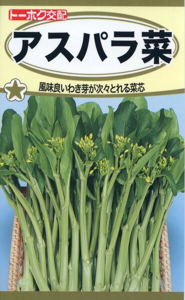 楽天市場】キャベツの種 F1 四季どりキャベツ 味星 1.5ml 品番3961 種子 たね : 日本農業システム楽天市場店