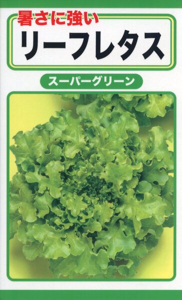 サニーレタス様 楽天市場】レタスの種 サニーレタス 3ml 品番3479 種子 たね : 日本