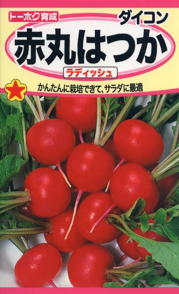 楽天市場】ソラマメの種 早生そら豆 35ml 品番6463 種子 たね : 日本農業システム楽天市場店