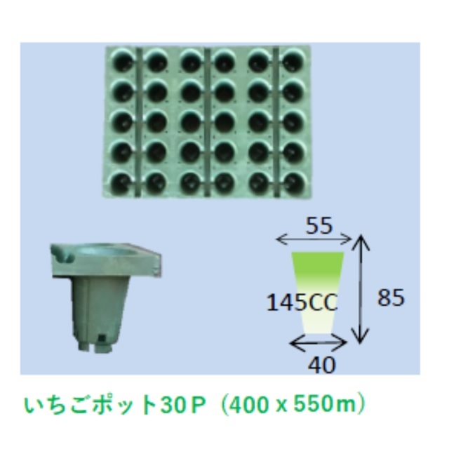 市場 底面給水インナートレー 5x6穴365mm×365mm×26mm