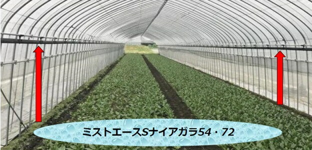 エントリーで尖んがり5倍!! ミストエースSナイアガラ54 120m ( 日本農学取り合わせ 農学 園芸 身寄り 家庭菜園 ガーデニング 噴霧 水やり 灌水 潅水 かんすい 熱電子管 株元 蔬菜 果菜 葉菜 花卉 作り物 作りだす 住み家 畑 )