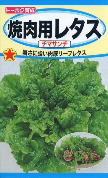 楽天市場】ニラの種 大葉にら 5ml 品番3076 種子 たね : 日本