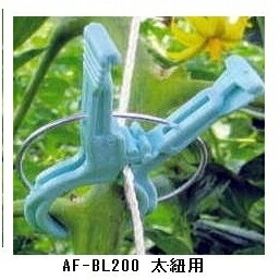 楽天市場】エントリーでポイント5倍 くきたっちアルファF太紐用