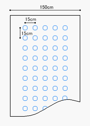 楽天市場 黒ホールマルチ 幅150cm 長さ0m 孔45mm 規格5515 3本セット 直送品 農業用マルチ 防草 シート マルチング 雑草対策 マルチ 畑 雑草防止シート ホールマルチ 被覆資材 マルチングシート 園芸用品 農業資材 家庭菜園 農業用品 野菜 定植用 苗 日本農業