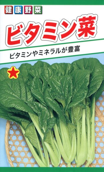 楽天市場】コマツナの種 F1 寒じめ ちぢみ小松菜 5ml 品番5020 種子