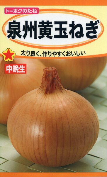 楽天市場】はつか大根の種 赤丸はつか ラディッシュ 8ml 品番1151 種子 たね : 日本農業システム楽天市場店