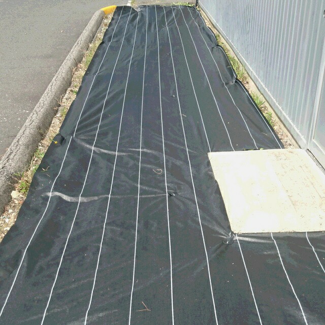 エントリーでポイント7倍!　グランドバリアクロス(透水性)10　200cm&times;50m　直送品｜日本農業システム店
