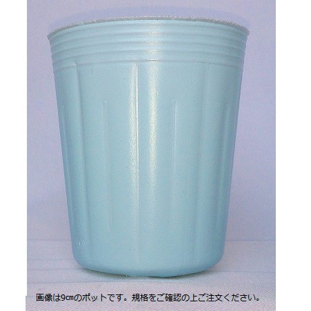 エントリーでポイント7倍 カラーポット深鉢　水色　口径7.5cmＸ高さ9.0cm　4000枚入