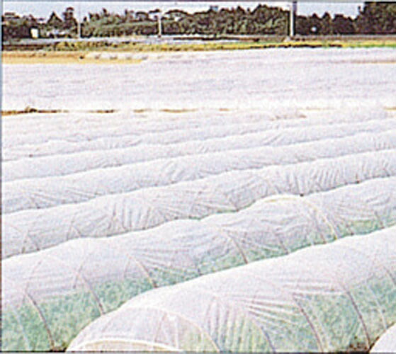 エントリーで尖んがり5倍!! ワリフ 120ｃｍ×100ｍ ( 水平坑作りだす 水平坑用 不織布 農林用不織布 保温腰かけ 農林原材料 保温原材料 農林用原材料 園芸用原材料 園芸原材料 ガーデニング 苑地備品 農作業 身寄り家庭菜園 助けになる グッズ にっ腰かけワリフ )
