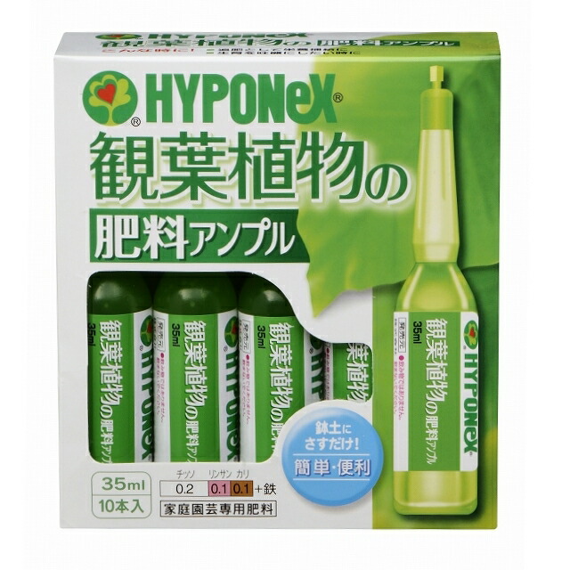 楽天市場 Hyponex ウンベラータの肥料 観葉植物用 鉢の上に置くだけ Net約70g 錠剤肥料 敬老の日 ポイント消化 観葉植物 ランドプランツ 楽天市場 Hyponex ウンベラータの肥料 観葉植物用 鉢の上に置くだけ Net約70g 錠剤肥料 敬老の日 ポイント消化 観葉植物 ランドプランツ
