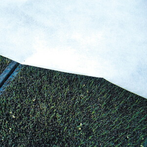 防虫 長さ100m 幅135cm ガーデニング 農業 園芸 霜よけ New カバー アイホッカ 長さ100m 幅135cm 霜除け 不織布 その他 保温シート 農業資材 ニューアイホッカ 農業用不織布 保温資材 農業用資材 園芸用資材 園芸資材 ガーデニング ガーデン用品 農作業 家庭菜園 便利