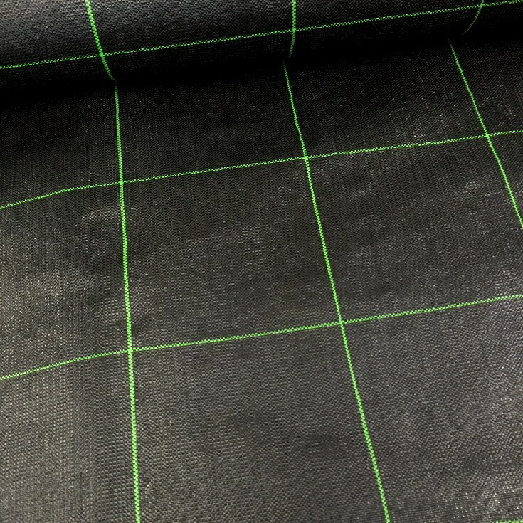 防草シート　アグリシート 黒抗菌入 長さ100m×幅200cm 日本ワイドクロス 抗菌アグリシート BK1515 (防草シート) 黒 幅2m×長さ