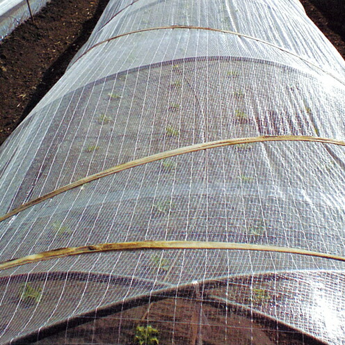 楽天市場 ベタロン 長さ100m 幅100cm 開口率35 トンネル栽培 霜除け 霜よけ カバー 園芸 トンネル 用 べたがけ 保温シート 農業資材 保温資材 農業用資材 園芸用資材 園芸資材 ガーデニング ガーデン用品 農作業 家庭菜園 便利 グッズ 日本農業システム楽天市場店