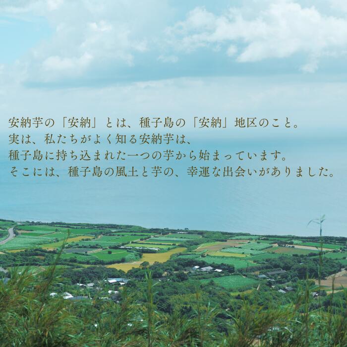 上等な 送料無料 希少 種子島産 安納芋 5kg 鹿児島県 さつまいも 生芋 贈り物 ギフト プレゼント somaticaeducar.com.br