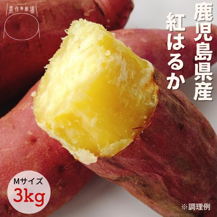 楽天市場】さつまいも 紅はるか 3kg 2Lサイズ 送料無料 鹿児島県産