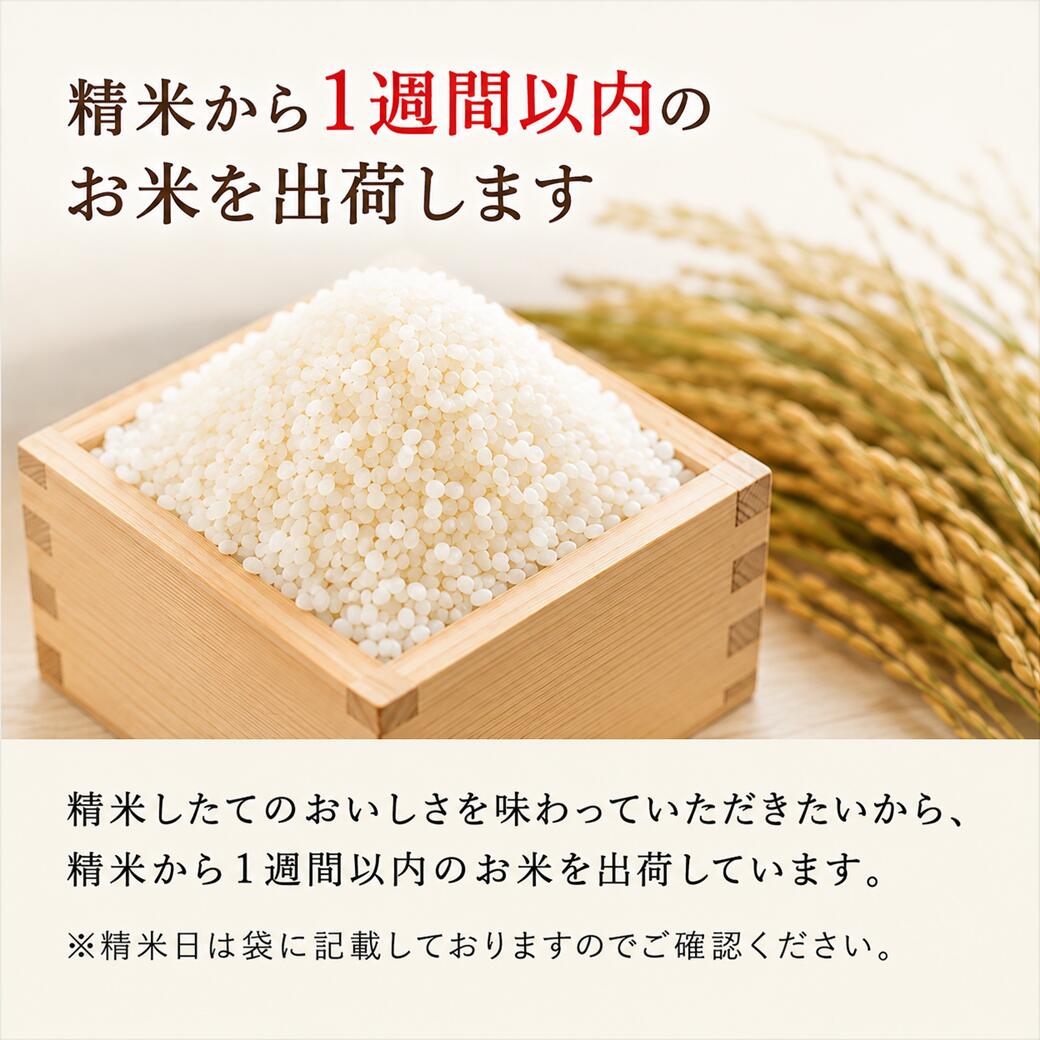 クーポン利用で半額！7,290円】令和7年産 白米 20kg 10kgx2袋 品種