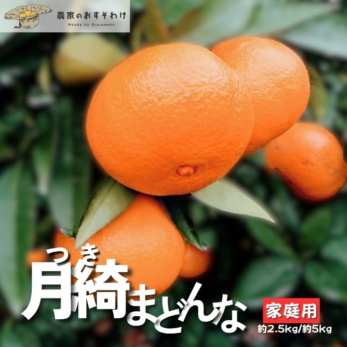楽天市場】【11月下旬から順次出荷予定】愛媛県産 訳あり みかん