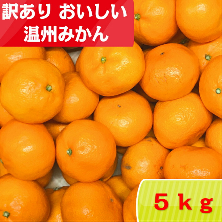 楽天市場 訳あり 紀州上秋津 おいしい温州みかん 5kg 送料無料 北海道送料 600円 沖縄 離島 10円 産地直送 甘い おいしい 温州 ミカン 蜜柑 大玉 大粒 甘い 産地直送 みかん ミカン お取り寄せ 温州 中峰農園