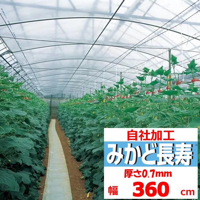 楽天市場】みかど長寿 0.07mm厚 270cm幅 POフィルム 透明 農業用