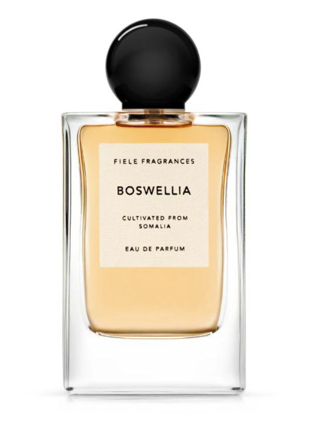 【FIELE FRAGRANCES / フィエールフレグランス】 Eau De Parfum 50ml(BOSWELLIA) | オーデパルファム / 香水