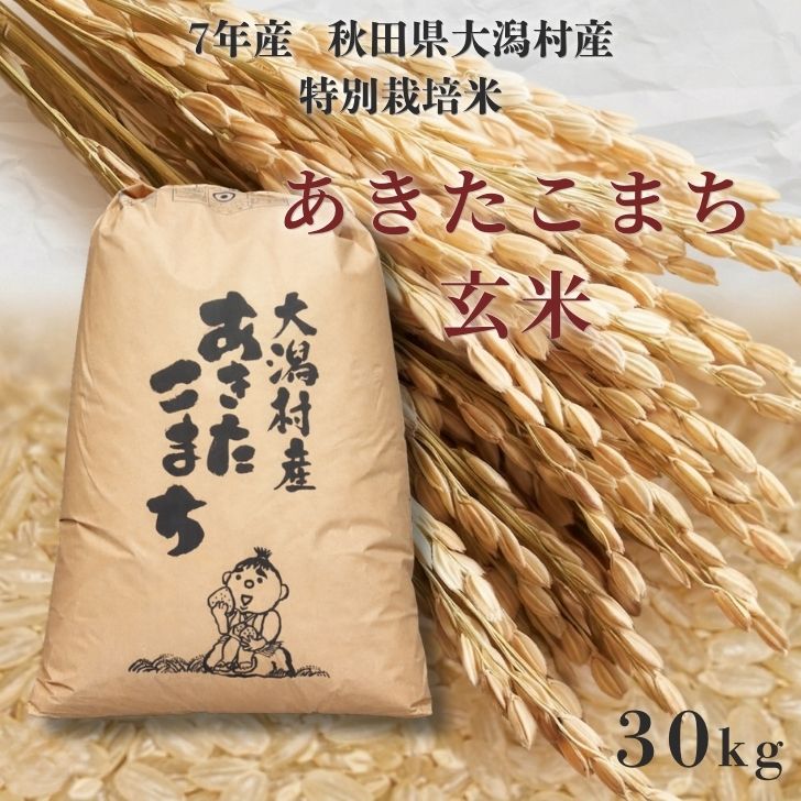 【玄米】あきたこまち30kg紙袋 秋田県産特別栽培米 大潟村のお米【令和７年産】｜こまちのふるさと