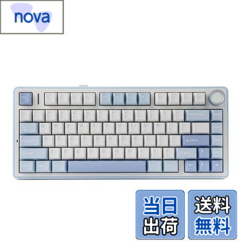 【送料無料】EPOMAKER x Aula F75 ゲーミングキーボード ガスケット メカニカルキーボード 5層パッド＆ノブ付き 75% ワイヤレス ホットスワッパブル Bluetooth/2.4GHz/USB-C RGB 技適認証取得 (Sea Salt Blue, LEOBOG Reaper Switch)