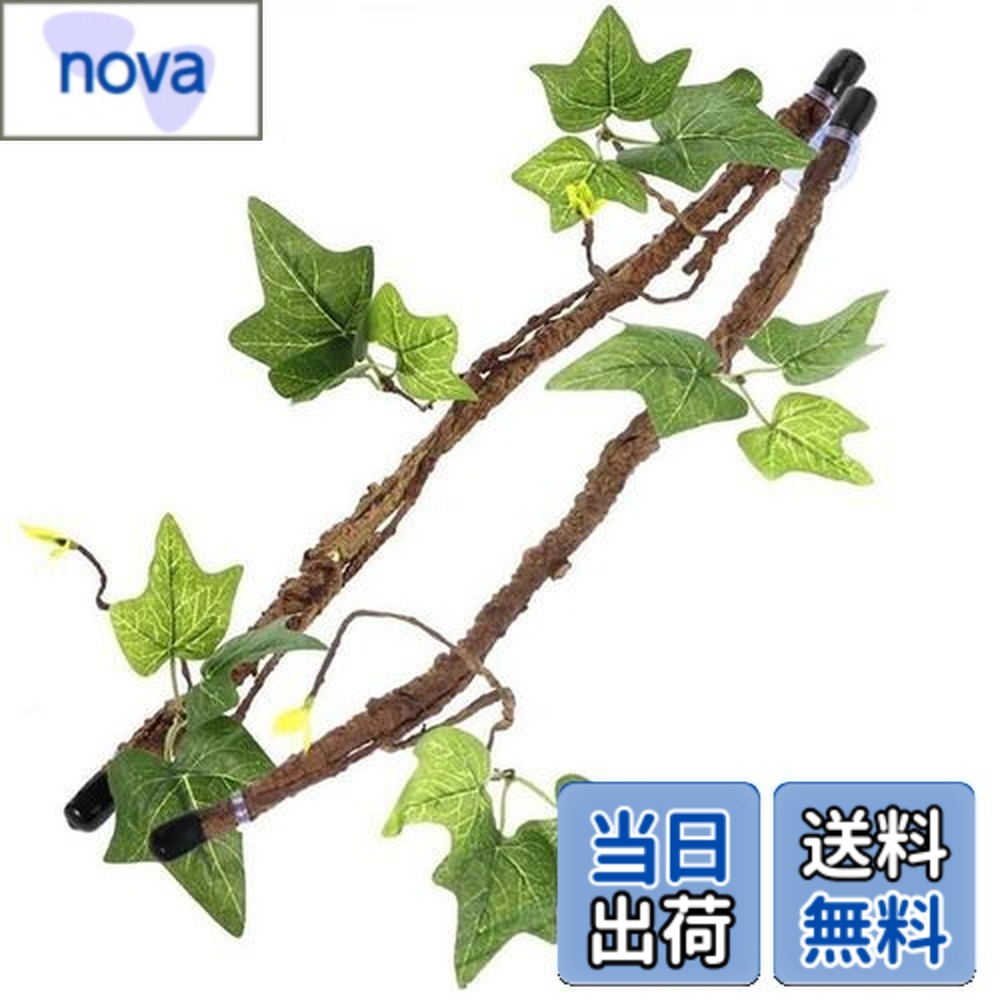 【楽天市場】【送料無料】CHENLONB 爬虫類登山枝 登り藤 2個セット 柔軟性 人工藤 吸盤付き 爬虫類のつる 両生類 休憩 隠れ家