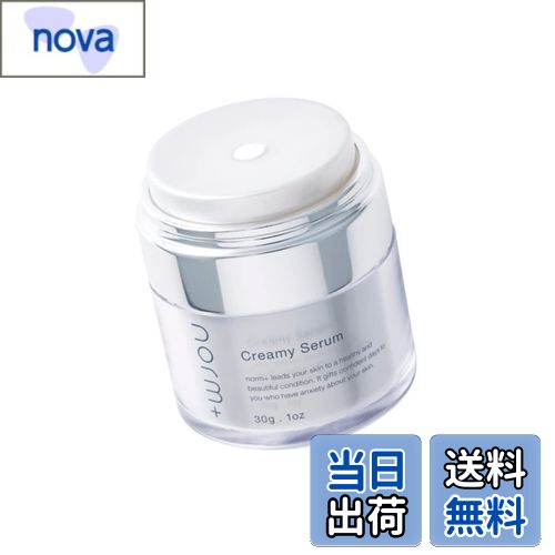 楽天市場】【 愛沢えみり プロデュース 】 norm+ ノームプラス 洗顔料