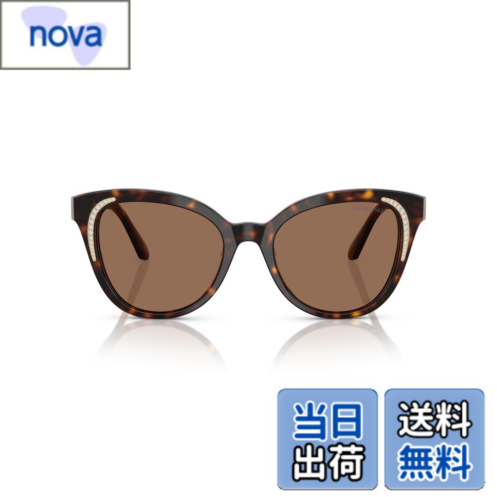 【送料無料】0SK6031F 100273 54 色：DARK HAVANA、サイズ：54