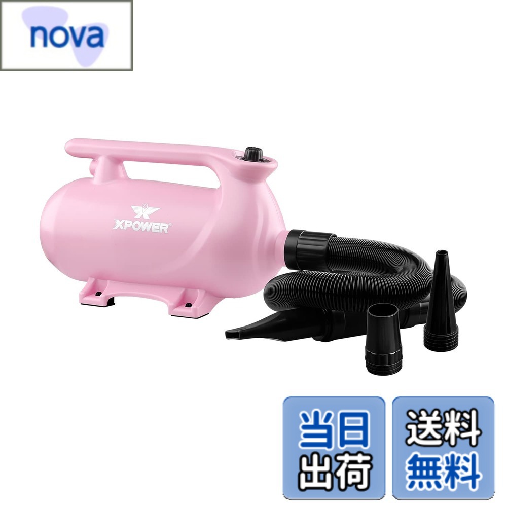 【貨物輸送無料】XPower B-163愛玩動物ドライヤー 低騒々しい音 二度合い調節する能力のあるな熱据え付ける 参のノズル付き添い人 持ちはこぶ用愛玩動物用ドライヤー 3色オプション (さくら色)