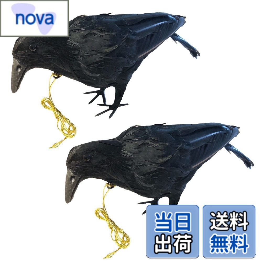 【送料無料】ONESORA カラスよけ 鳥よけグッズ 本物そっくり リアル羽毛カラス 【小振りサイズ 2羽】 ぶら下げて吊るすだけ カラス撃退