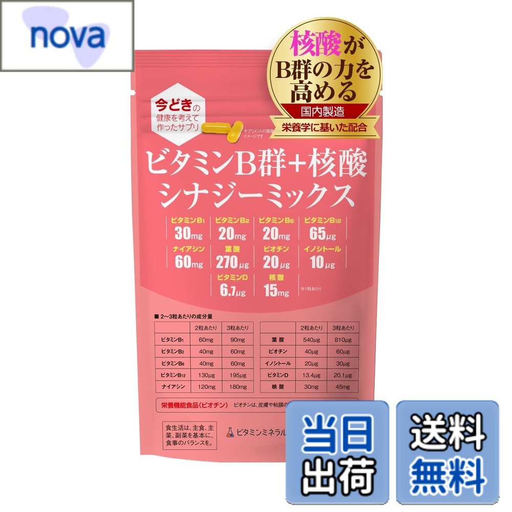 【送料無料】ビタミンB群+核酸 シナジーミックス【90粒入】1袋「ナイアシン」「核酸」強化配合/B1,B2,B6,B12,ナイアシン,イノシトール,パントテン酸,ビオチン/栄養のプロがプロデュース・おすすめのサプリ