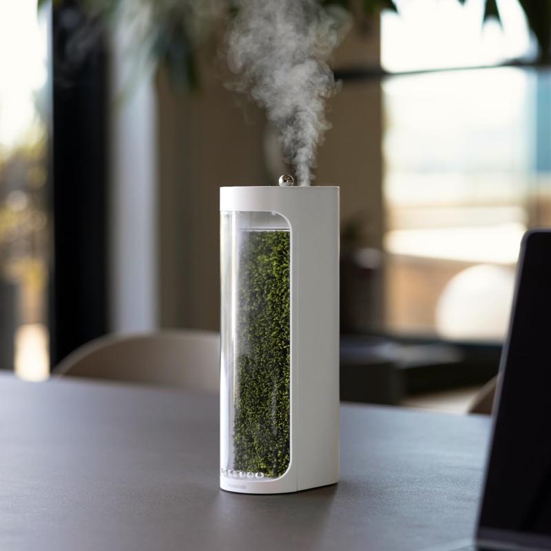 Mosslab Moss Air - Living Moss 加湿器 | 美的&リラックス | マインドフルネス&瞑想 | お手入れ簡単 屋内植物 | テラリウム & 卓上装飾 | 霧の滝 | ポータブルでささやくような静か