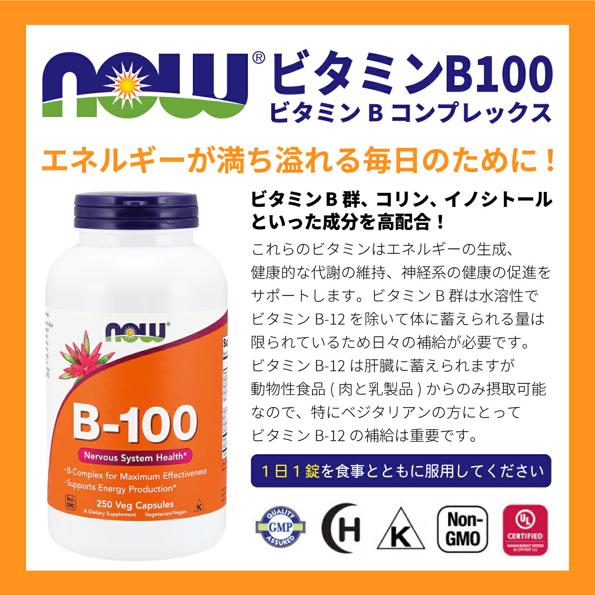 メーカー直送 ナウフーズ ビタミン E-1000 ミックス トコフェロール 配合 1000IU 670mg 100粒 ソフトジェル NOW Foods  MIXED TOC 100 SGELS サプリメント ビタミンE 脂溶性ビタミン 体づくり 健康ケア 健康サポート 海外直送 