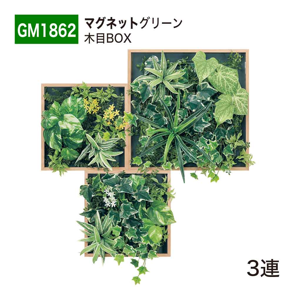 【置き目代わりになる店】BELK ベルク 磁石緑であること 635x700x150 肌理ひな形付き添い人 磁石ダイアログボックス 程よい音の大きさ感 つや消し印字機 美術ダイアログボックス 壁面緑化用ダイアログボックス フェイクグリーン 人工観葉草木 人工あずま屋 造花 かざり付ける 屋内用 GreenMod 緑であること流行り物 GM1862 3連 国産