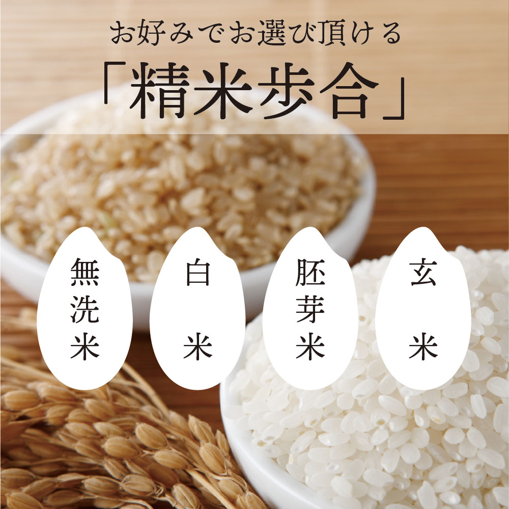 新米出荷開始！ミルキープリンセス 20kg 送料無料 真空パック5kg×4袋