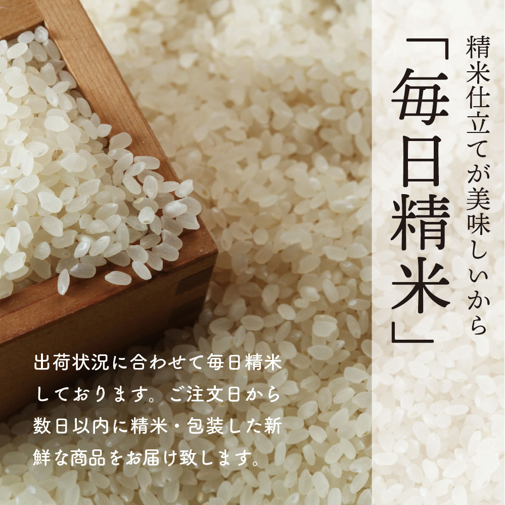 店内全品対象 令和４年新米 ミルキープリンセス 酵素米 玄米５Kg 標準
