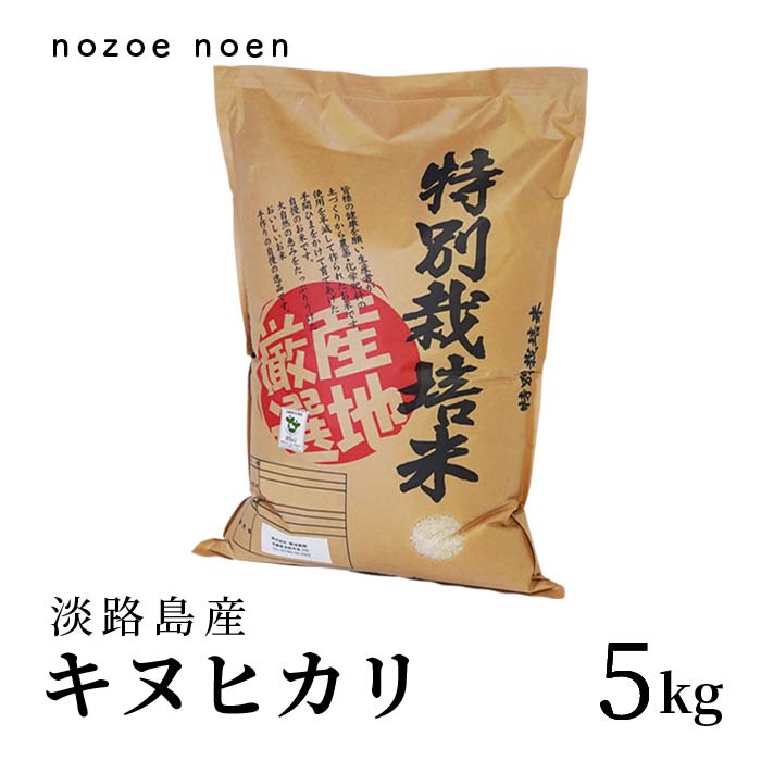 訳あり商品 - 令和4年度 新米 キヌヒカリ 5kg 5キロ 兵庫県産 送料無料