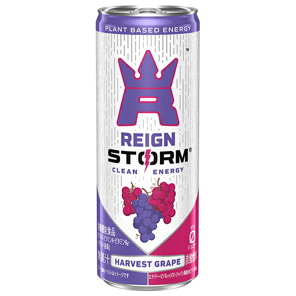 アサヒ飲料 レインストーム ハーベストグレープ 250ml缶×30本入×(2ケース)｜ 送料無料 エナジードリンク 炭酸 栄養