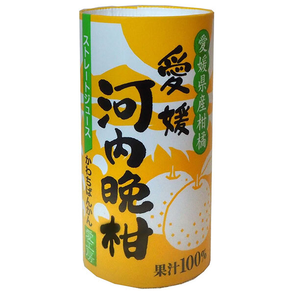 愛工房 河内晩柑 125mlカートカン×30本入｜ 送料無料 果実飲料 果汁100% オレンジ 紙パック