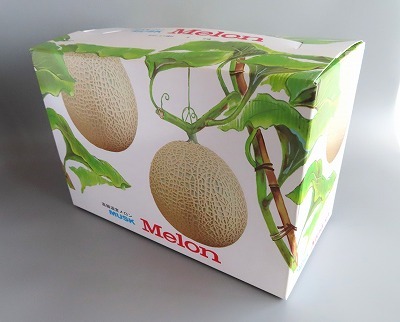 メロン２箱 メロン2ヶ入 イラスト 10枚 セット メロン箱 メロン専用箱