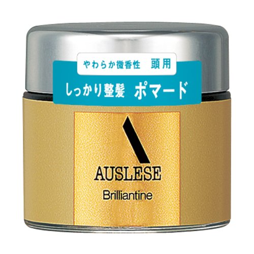 アウスレーゼ ブリランチンN 80g 美容・コスメ・香水-ヘアケア・スタイリング