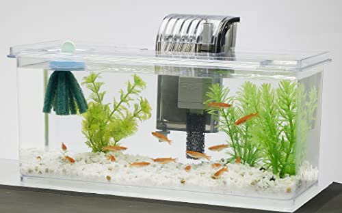 楽天市場】【マラソン最大46倍】テトラ メダカの繁殖を楽しむ