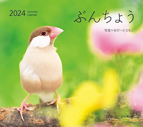 楽天市場】北の森に生きる愛らしい動物たちの素顔カレンダー2024 