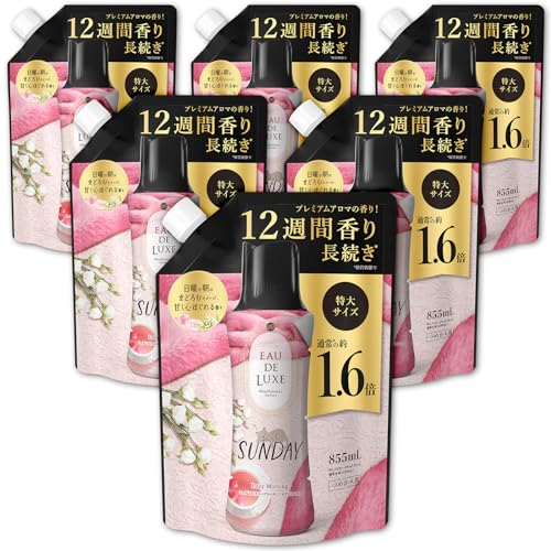 レノア オードリュクス 芳ばしさ後ばらい専用ビーズ マインドフルネスシリーズ サンデー 詰め替え 855mL×6袋 [容れもの品]