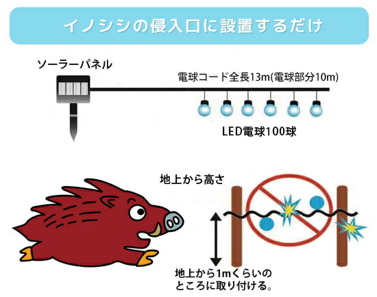 在庫あり 健康 ページ限定 マジッククロス付 美容 魔法の光 Led通せんぼbig 送料無料 代引料無料 保証付 イノシシ駆除 いのしし除け スキンケア 猪撃退 害獣対策グッズ Ledとおせんぼ ソーラー充電式 Nstショッピング 全員 レビューのダブルプレゼント Led